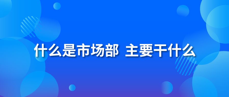 什么是市场部 主要干什么