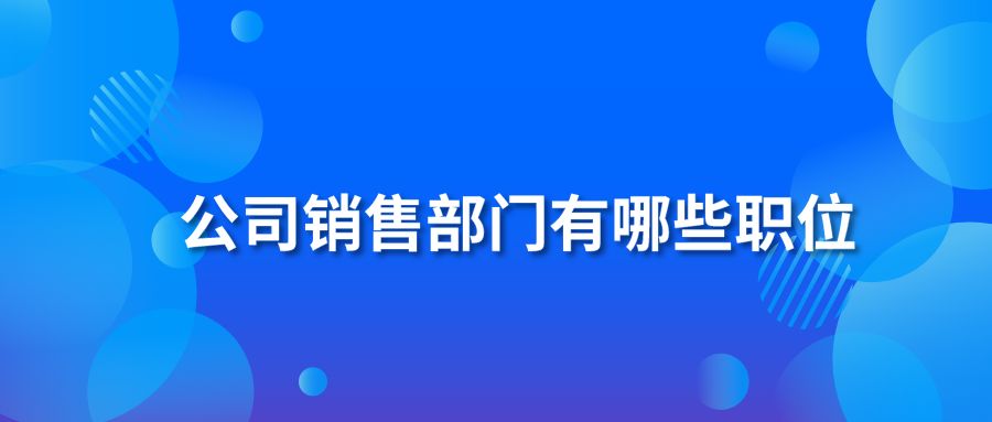 公司销售部门有哪些职位