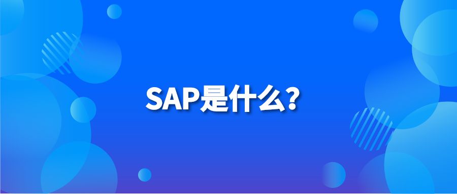 SAP是什么？
