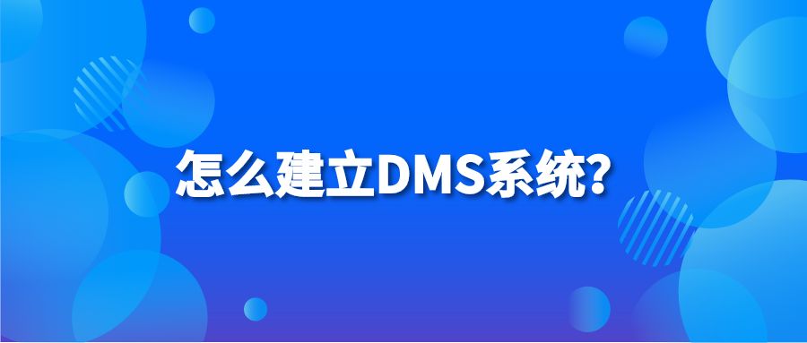 怎么建立DMS系统？