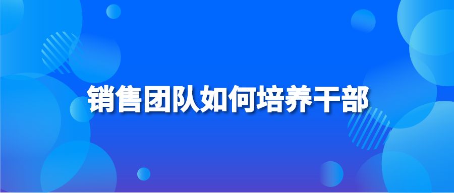 销售团队如何培养干部