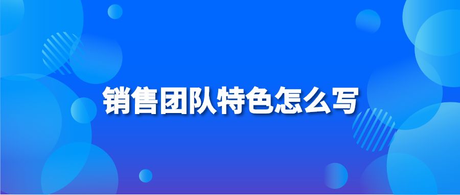 销售团队特色怎么写