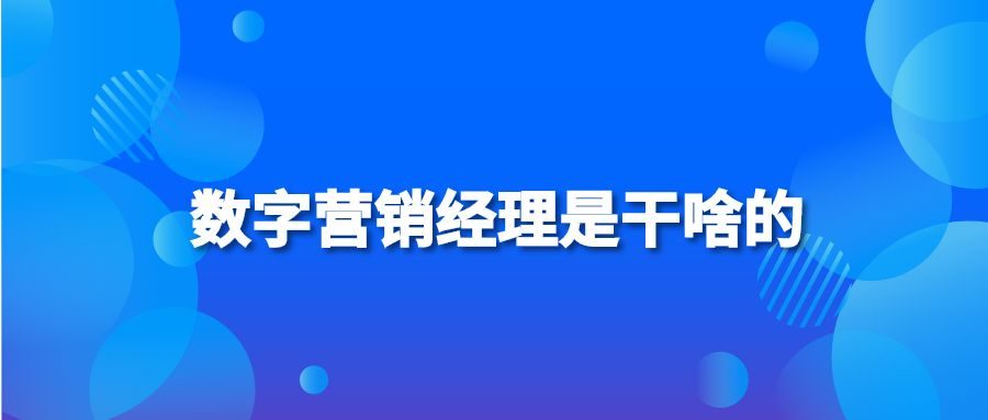 数字营销经理是干啥的