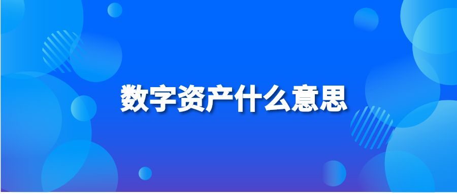 数字资产什么意思