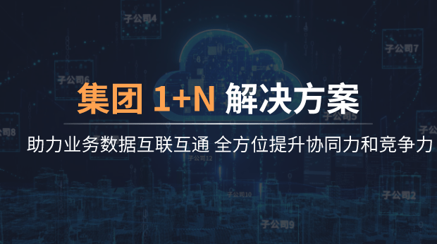 集团型多组织1+N数字化解决方案