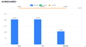 各分类目标完成情况